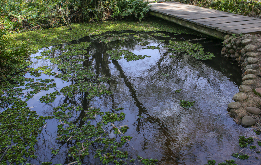 Solucionando problemas: A importância do serviço de Caça Vazamentos de água